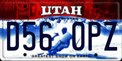 UT license plate D560PZ