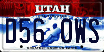 UT license plate D560WS