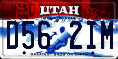 UT license plate D562IM