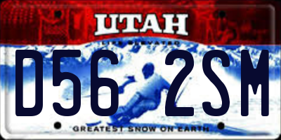 UT license plate D562SM