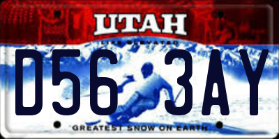 UT license plate D563AY