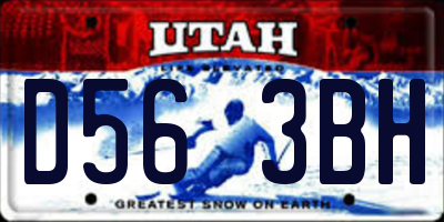 UT license plate D563BH