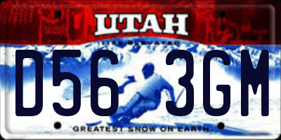 UT license plate D563GM