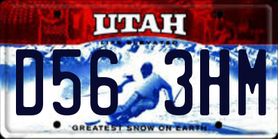 UT license plate D563HM