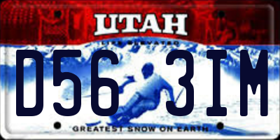 UT license plate D563IM