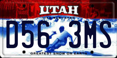 UT license plate D563MS