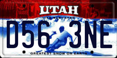UT license plate D563NE