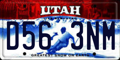 UT license plate D563NM