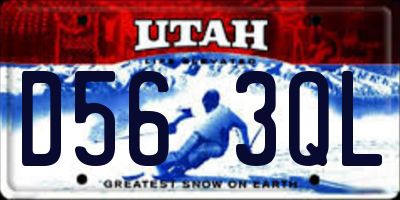 UT license plate D563QL
