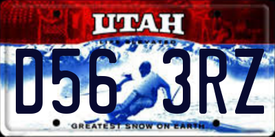 UT license plate D563RZ