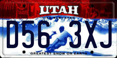 UT license plate D563XJ
