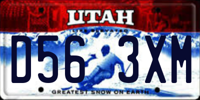 UT license plate D563XM