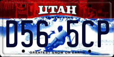 UT license plate D565CP