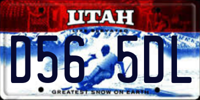 UT license plate D565DL