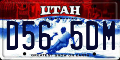 UT license plate D565DM
