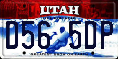 UT license plate D565DP