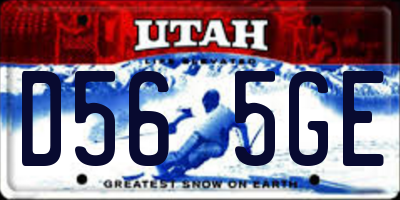 UT license plate D565GE