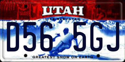 UT license plate D565GJ