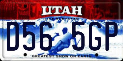 UT license plate D565GP