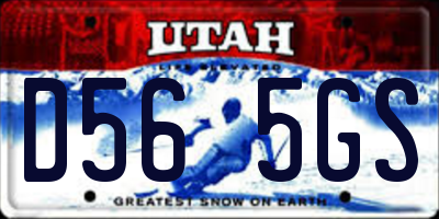 UT license plate D565GS