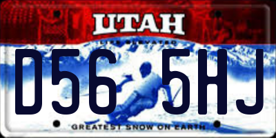 UT license plate D565HJ