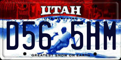 UT license plate D565HM