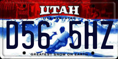 UT license plate D565HZ