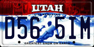 UT license plate D565IM
