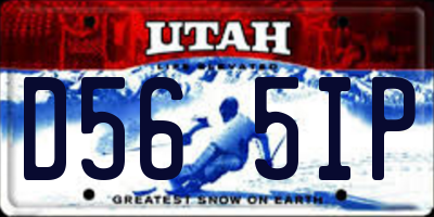 UT license plate D565IP