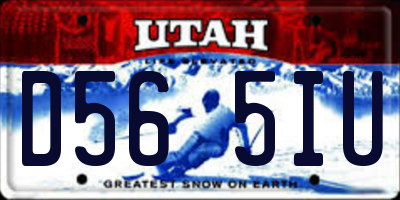 UT license plate D565IU