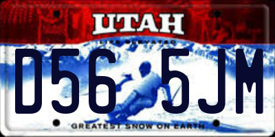 UT license plate D565JM