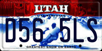 UT license plate D565LS
