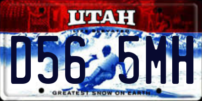 UT license plate D565MH