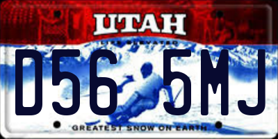 UT license plate D565MJ