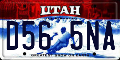 UT license plate D565NA