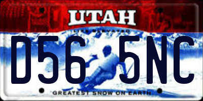 UT license plate D565NC