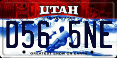 UT license plate D565NE