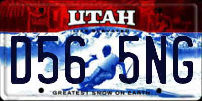 UT license plate D565NG