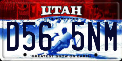 UT license plate D565NM