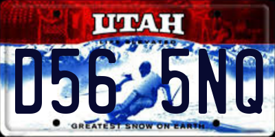 UT license plate D565NQ