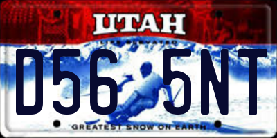UT license plate D565NT