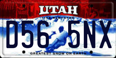 UT license plate D565NX