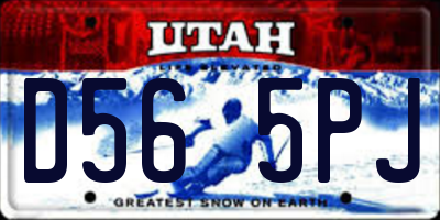 UT license plate D565PJ