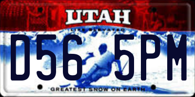 UT license plate D565PM