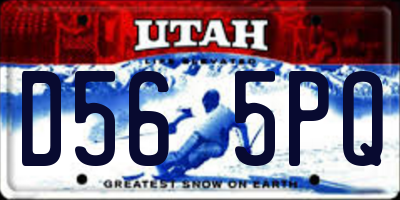 UT license plate D565PQ