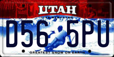 UT license plate D565PU