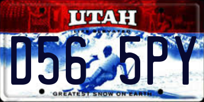 UT license plate D565PY