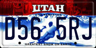 UT license plate D565RJ