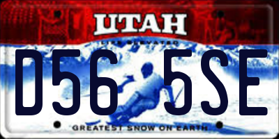 UT license plate D565SE