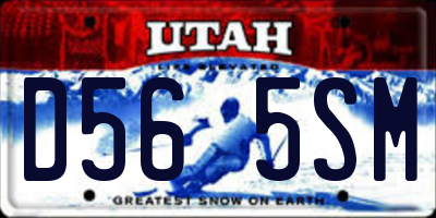 UT license plate D565SM